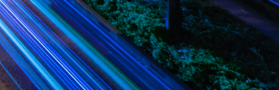 Long exposure of car light trails on a road beside green foliage at night.